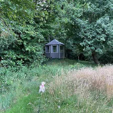 Appartamento Reetdachhaus Am Ostfriesland Leezdorf