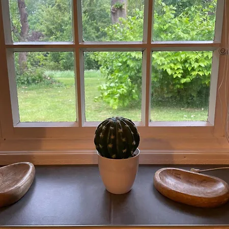 Reetdachhaus Am Ostfriesland Апартаменты